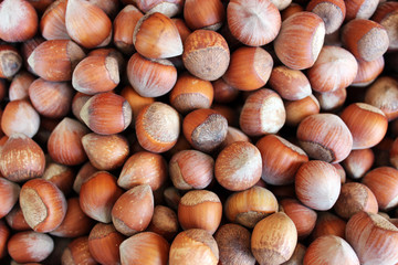 Hazelnuts Background