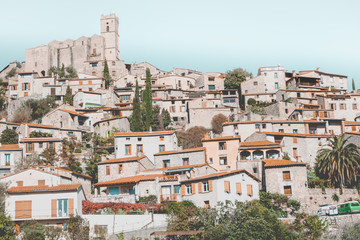 Fototapeta premium Reus na górze