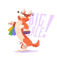 Cute dog with the shopping bags.