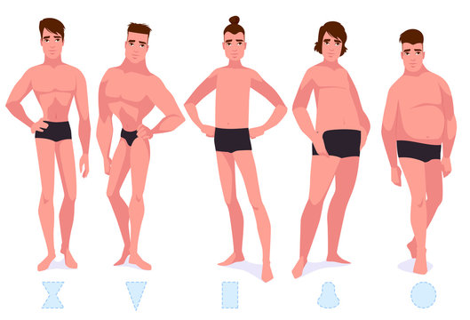 Set of male body shape types - five types.