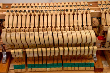 Wooden piano hammers