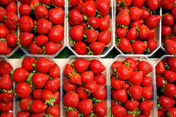fresh organic strawberries close up background