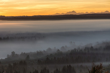 Morgendämmerung und dichter Nebel über den Land