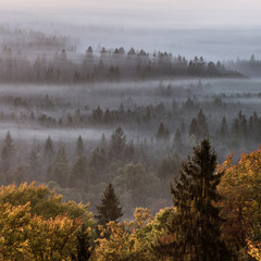 Dichter Nebel hängt über den herbstlichen Wäldern