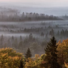 Papier Peint photo Lavable Forêt dans le brouillard Dichter Nebel hängt über den herbstlichen Wäldern