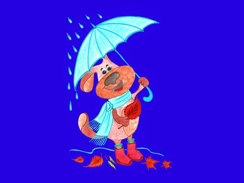 Dog Zahar and Autumn