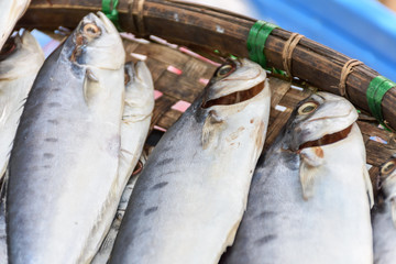 fresh fish on the market