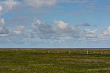 Salzwiesen an der deutschen Nordseeküste