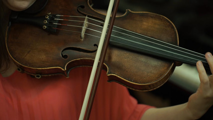 Girl's hand on the strings of a violin. Girl's hand on the fingerboard violin.