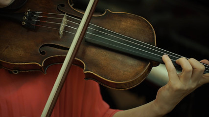 Naklejka premium Girl's hand on the strings of a violin. Girl's hand on the fingerboard violin.