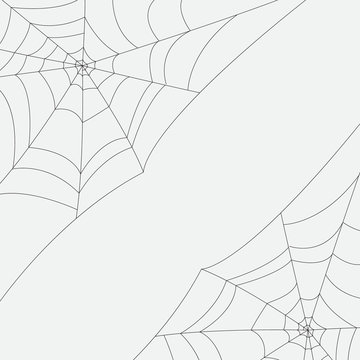 Vector image of cobweb