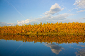 Autumn mirror