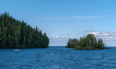 The forest on the island of Sunny summer day