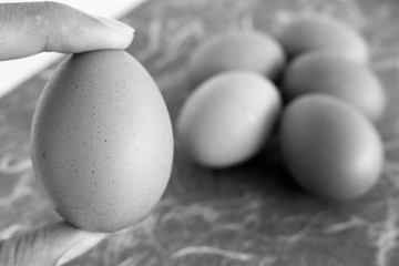 hold egg and blur fresh eggs background black and white