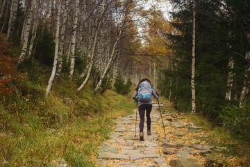 Obraz premium mountain walk in autumn in Giant Mountains in POland
