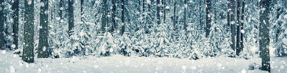 Beautiful tree in winter landscape in late evening in snowfall