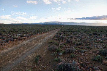 Long road to nowhere in early morning Karoo, South Africa
