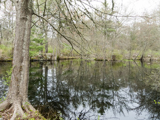 Fototapeta na wymiar Grace Pond in Mattapoisett