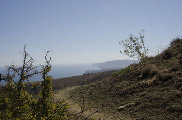 Mountain path among the bushes overlooking the Black sea