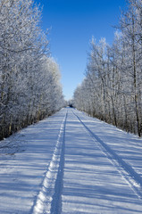 Winter Prairie Road 
