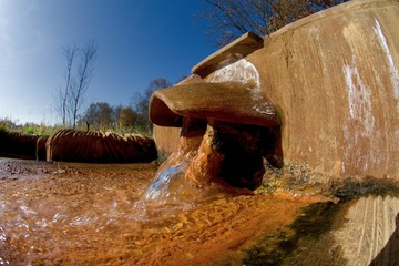 Mineral water - Caesarean spring - National nature reserve SOOS - large moorland and fen with many...