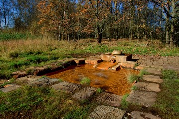 Mineral water - Caesarean spring - National nature reserve SOOS - large moorland and fen with many moffettes (muddy volcanos) - near small spa town Frantiskovy Lazne (Franzensbad) - Czech Republic