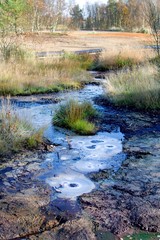 National nature reserve SOOS - large moorland and fen with many mineral water springs and moffettes...