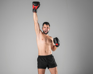 Male boxer on light background