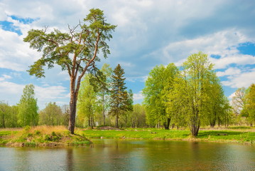 Spring landscape with island in the middle of forest lake