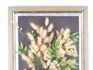 herbarium of flowers on a white background