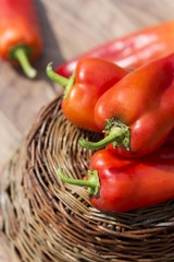 red paprika 