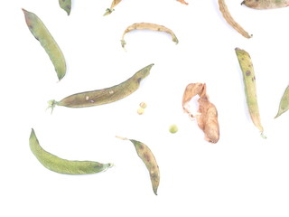 dry peas on a white background
