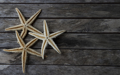 Fototapeta na wymiar starfish in wooden background