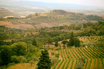 Naklejka premium Scenic view of typical Tuscany landscape, Italy
