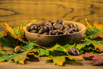 autumn leaf and   chestnuts on  wooden table.
