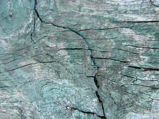 Vintage wood background with peeling paint.