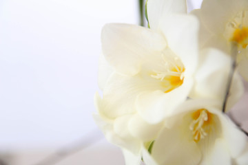 Naklejka na ściany i meble White Freesia flowers. Bouquet