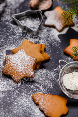 Obraz na płótnie Canvas Christmas ginger cookies on a black background, vertically