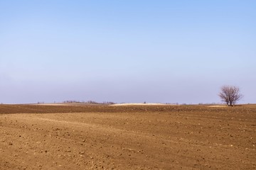 agriculture landscape