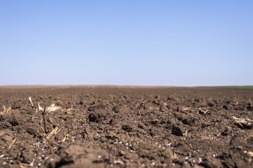 agriculture landscape