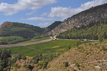 Fototapeta premium The hills in Segesta