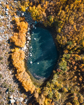 Aerial view of lake surrounded by trees