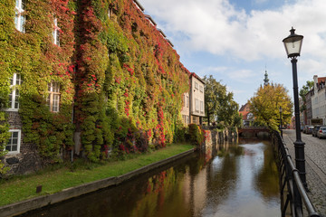 Fototapeta na wymiar View of an idyllic canal, building full of vines in autumn colors and cobblestone street on a sunny day in Gdansk, Poland.