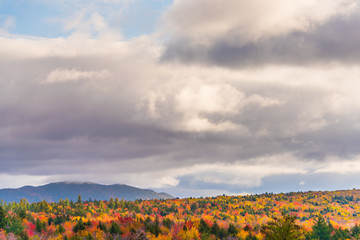 Fototapeta na wymiar Autumn & Overcast Sky, Kancamagus Hwy, New Hampshire, USA