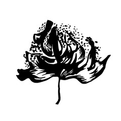 Vector black hand drawn decorative flower. Stylized print painted by ink. Silhouette usable as print.