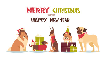 Cute Dogs In Santa Hats Isolated On White With Gift Boxes Merry Christmas And Happy New Year Poster Design Flat Vector Illustration