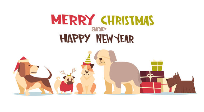 Cute Dogs In Santa Hats Isolated On White With Gift Boxes Merry Christmas And Happy New Year Poster Design Flat Vector Illustration