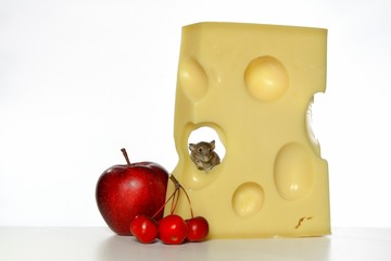 Mäuse, Käse, Obst