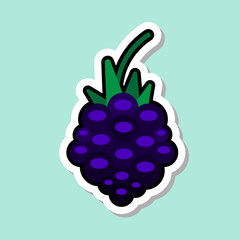 Fototapeta na wymiar Blackberry Sticker On Blue Background Colorful Fruit Icon Vector Illustration