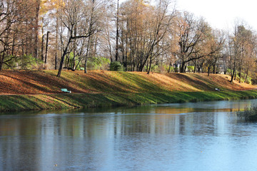 the freezing surface of the pond, the trees after the fall, the land covered with leaves in late autumn.